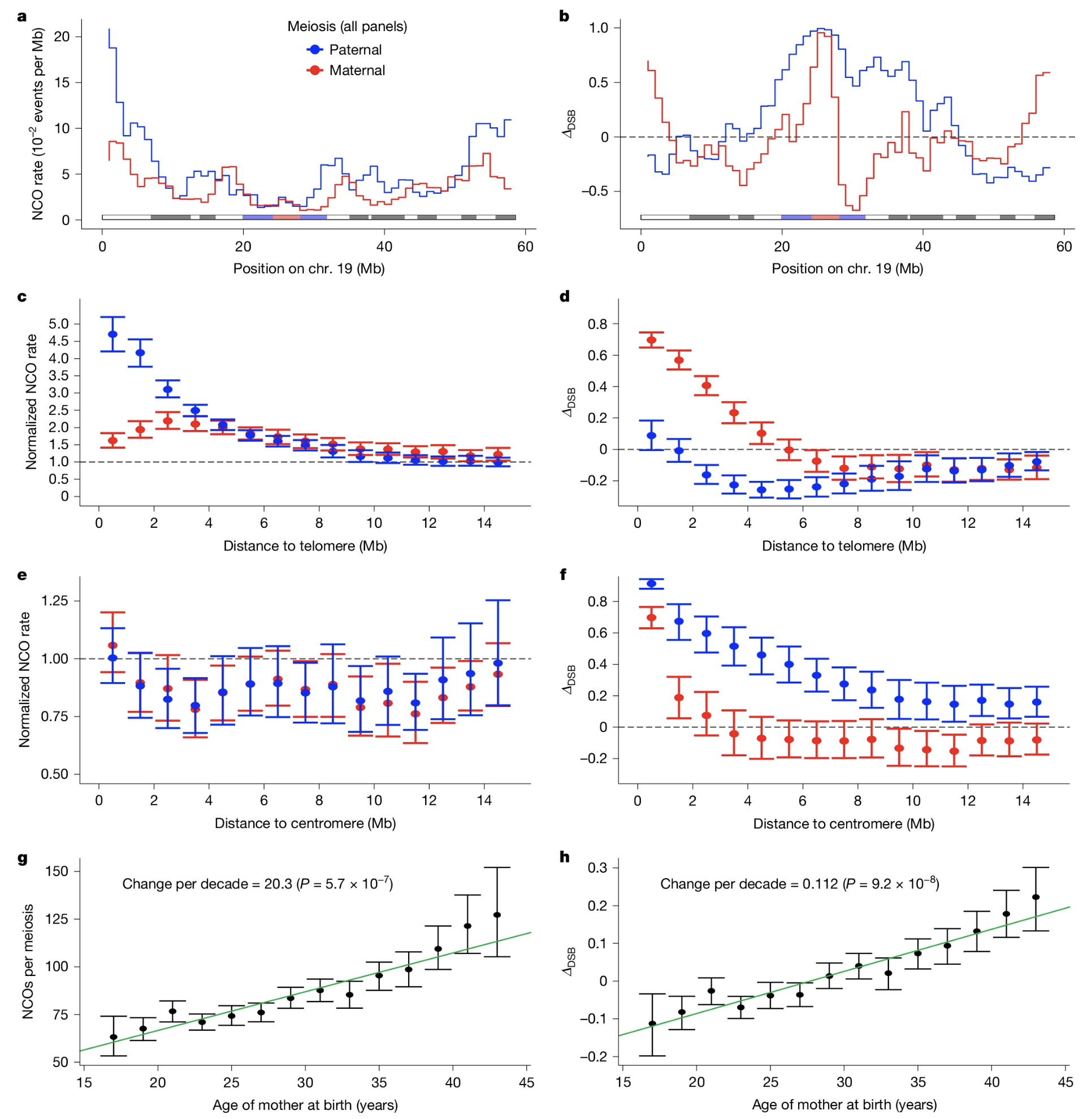 Palsson 2025 Figure 2: regional recombination patterns on chromosome 19