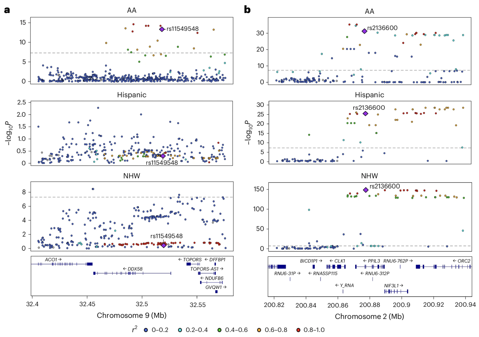 Wingo 2025 multi-ancestry brain pQTLs