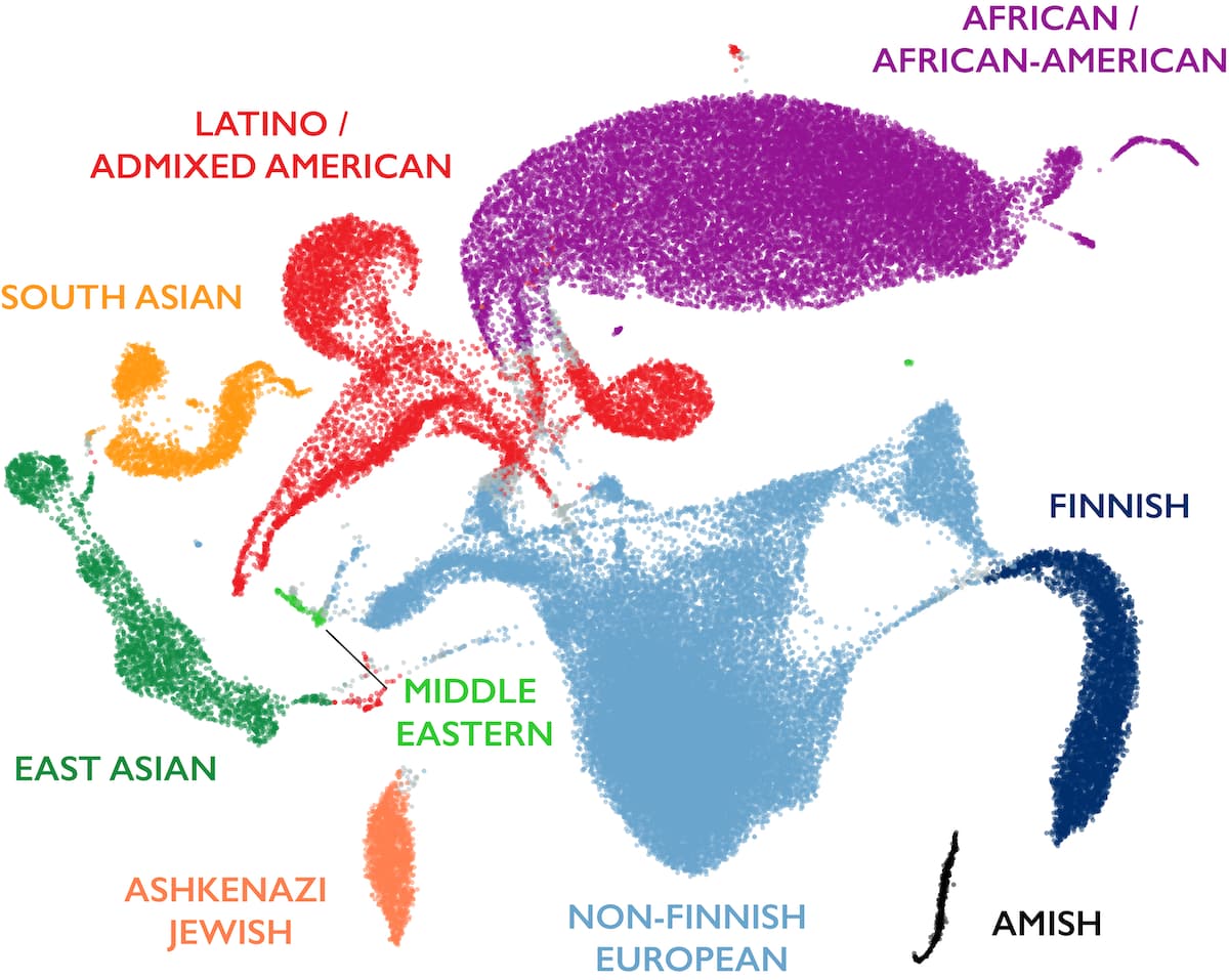 gnomAD UMAP showing global human genetic diversity