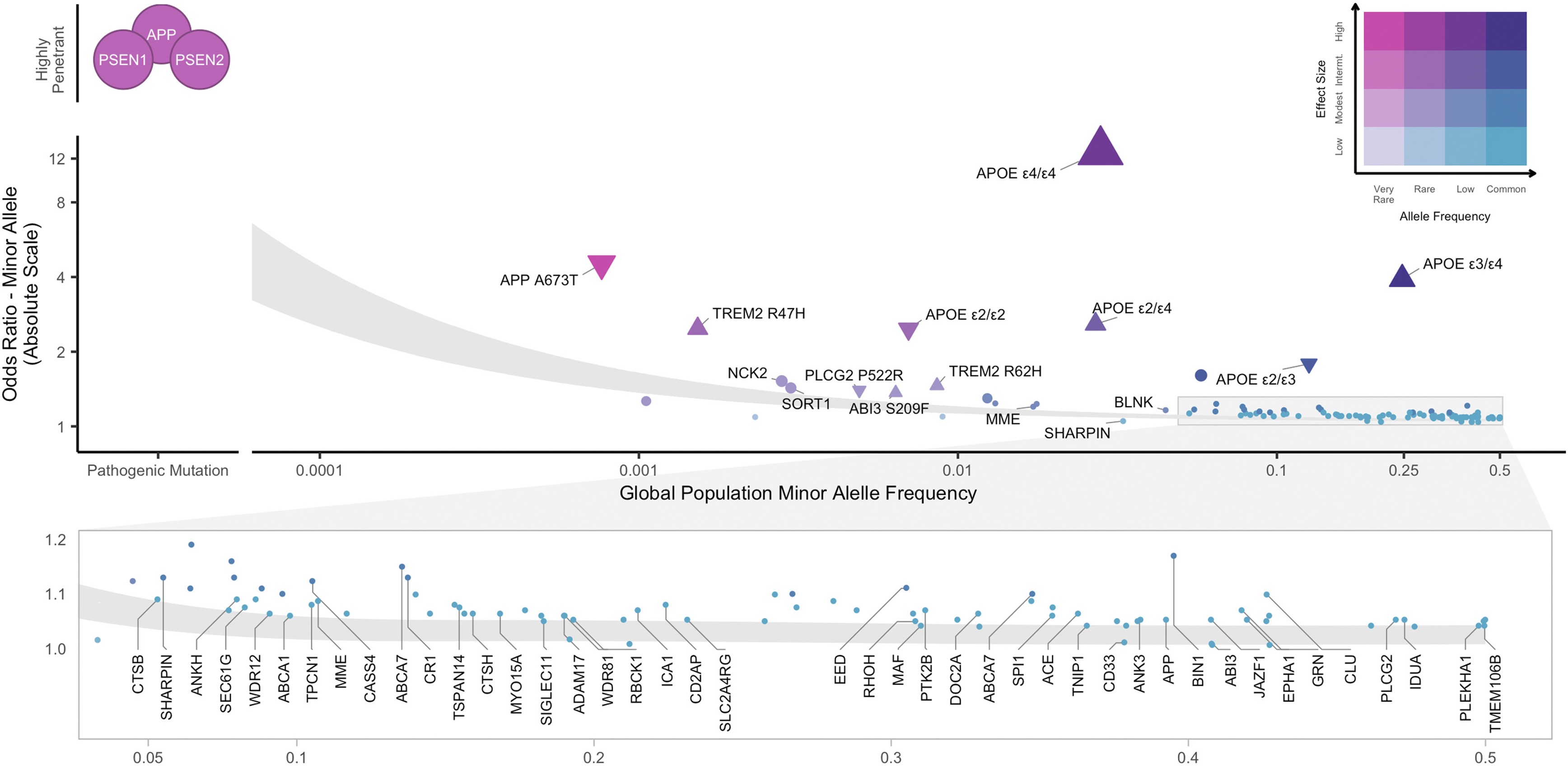 Allele frequency vs effect size — the canonical 4-zone plot for Alzheimer's disease