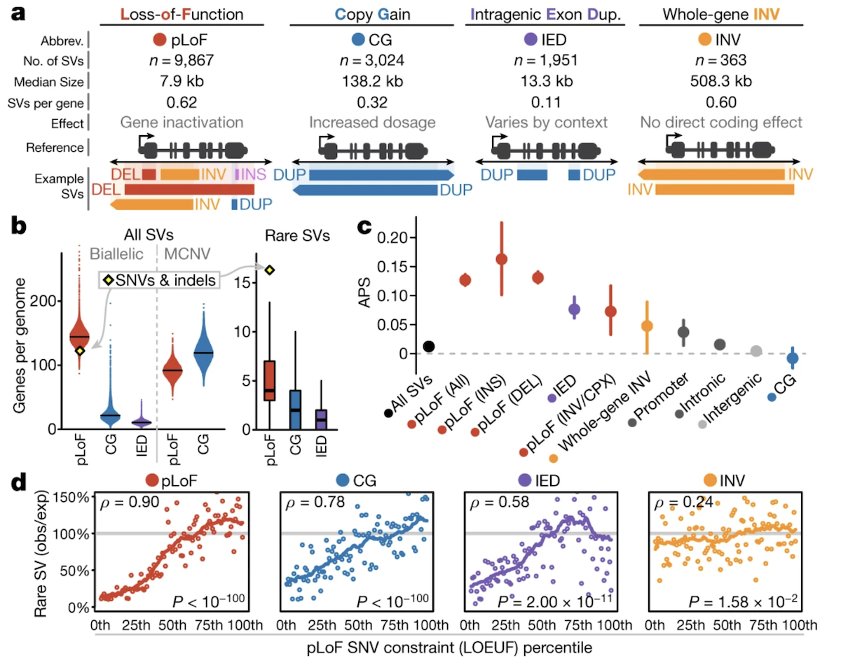 Selection coefficients for SVs by genomic context