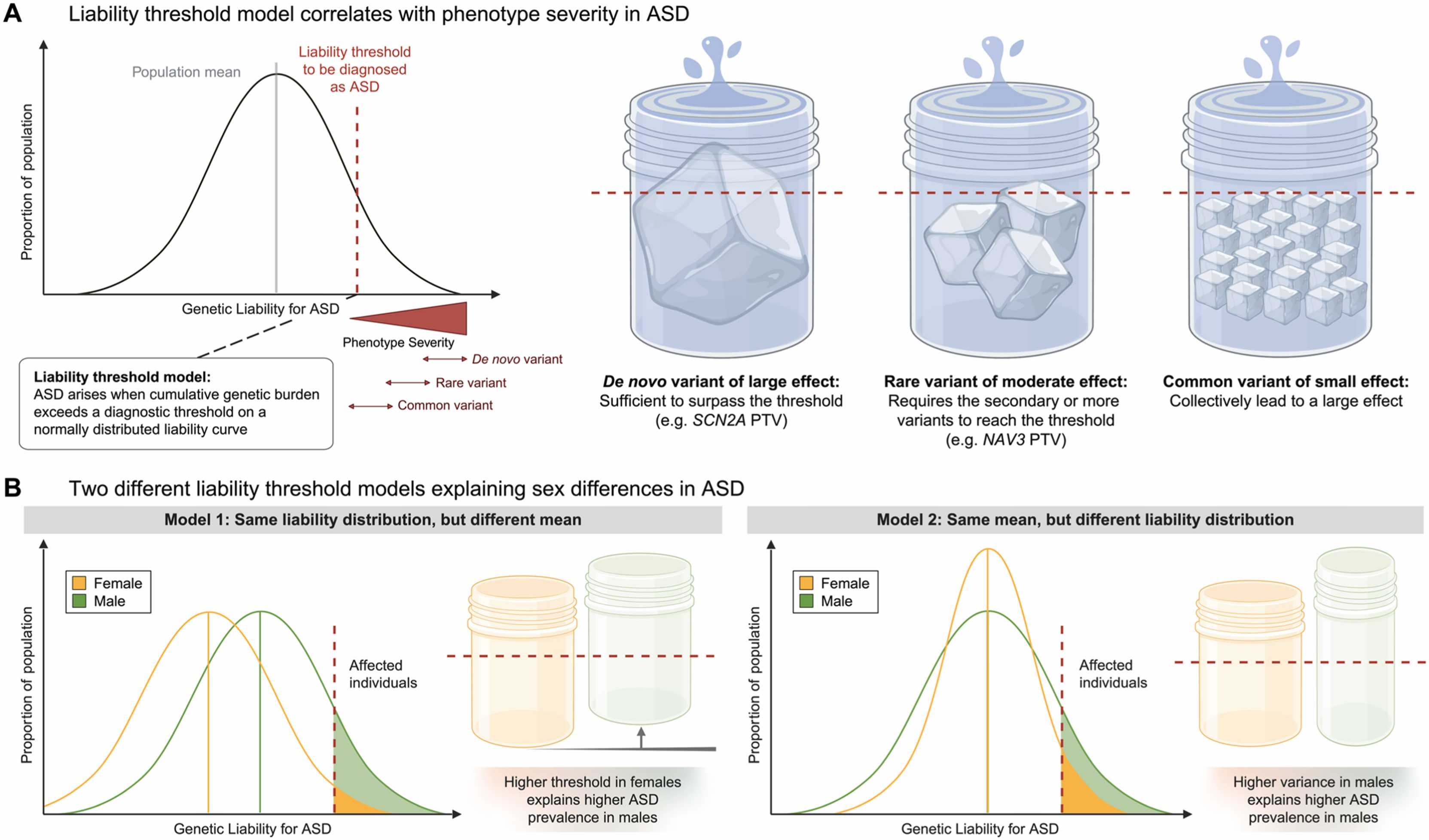 Multiple genetic contributors to autism risk