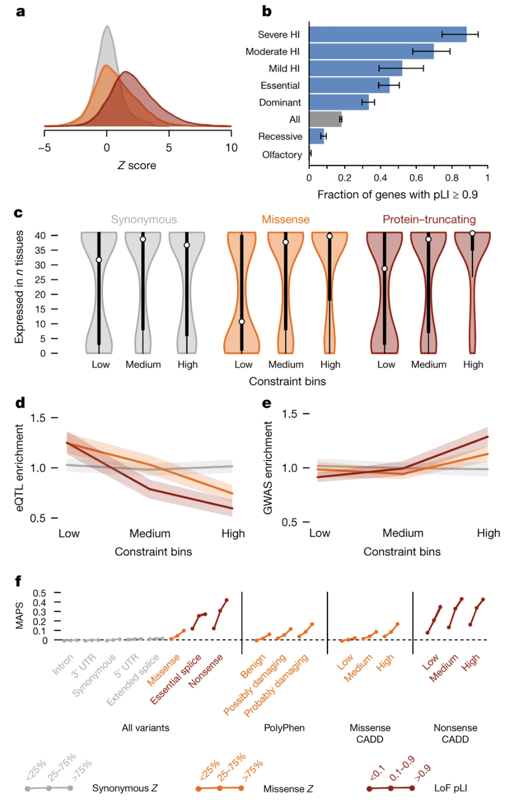 pLI distributions across functional gene categories