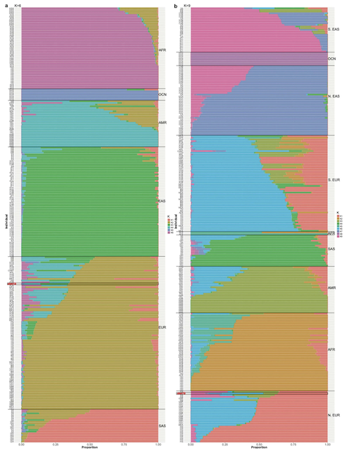 Maximum likelihood admixture analysis of CHM13 ancestry
