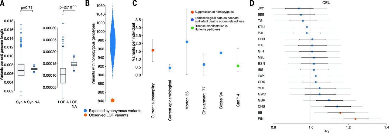 Natural selection against recessive loss-of-function variants
