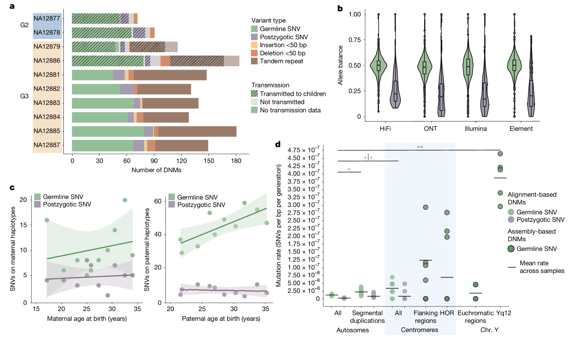 De novo mutations in CEPH 1463 four-generation pedigree