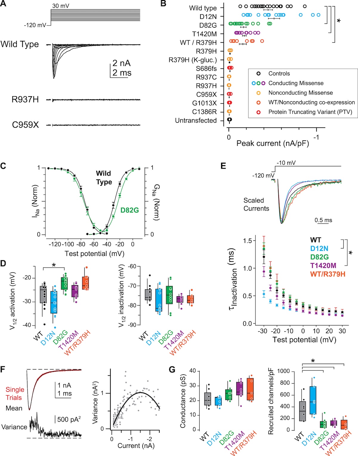 Schematic of opposite NaV1.2 functional changes in ASD vs seizures