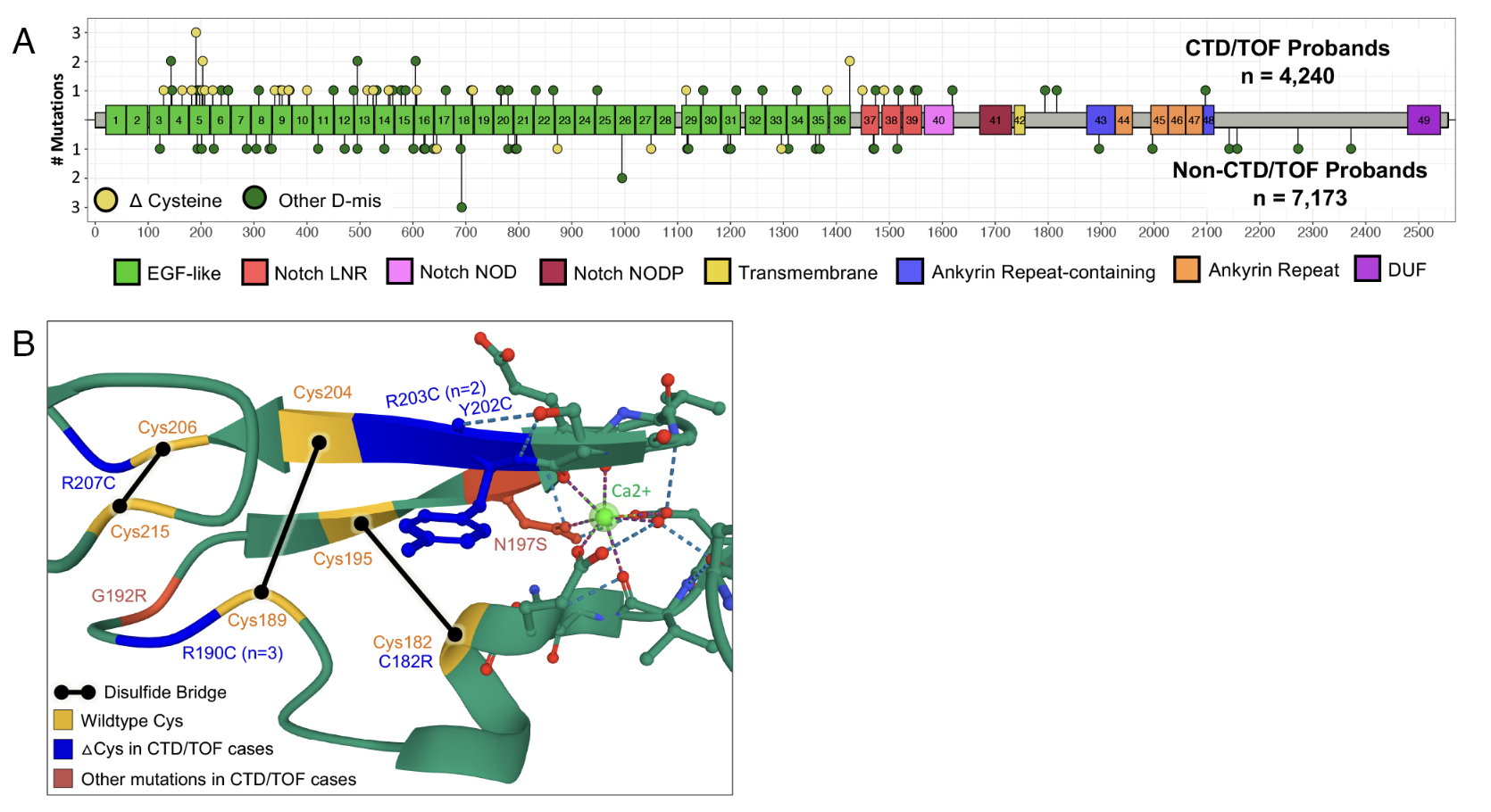 CHD genes and risk of neurodevelopmental disorder