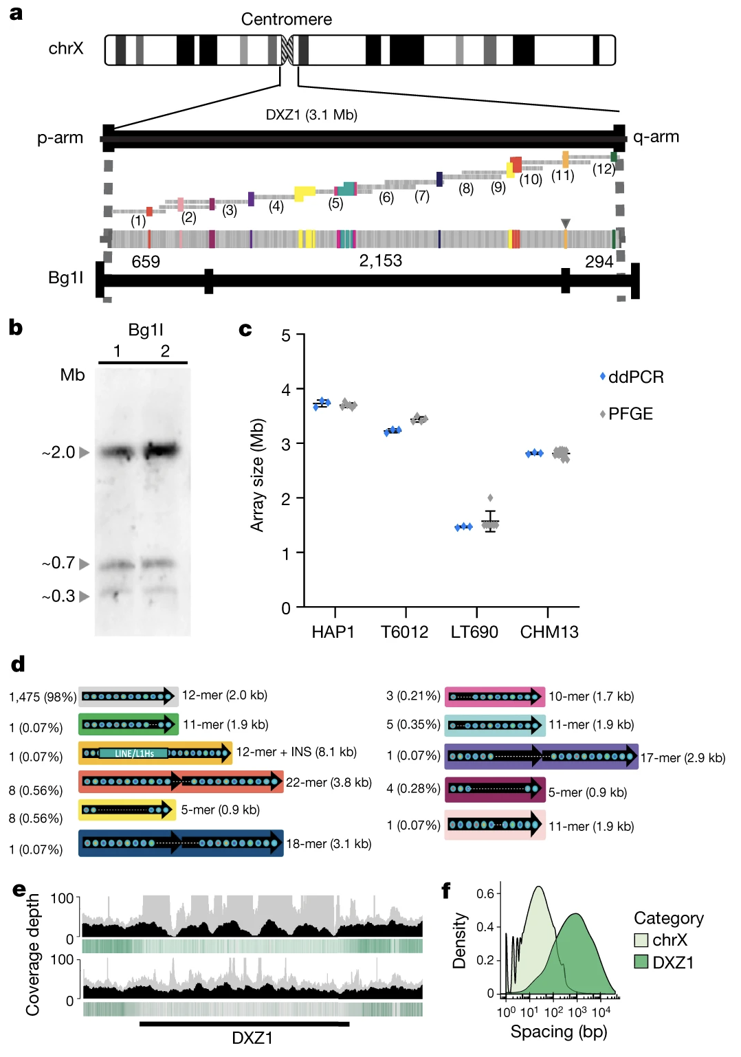 Validation of the 3.1 Mb DXZ1 centromeric array structure