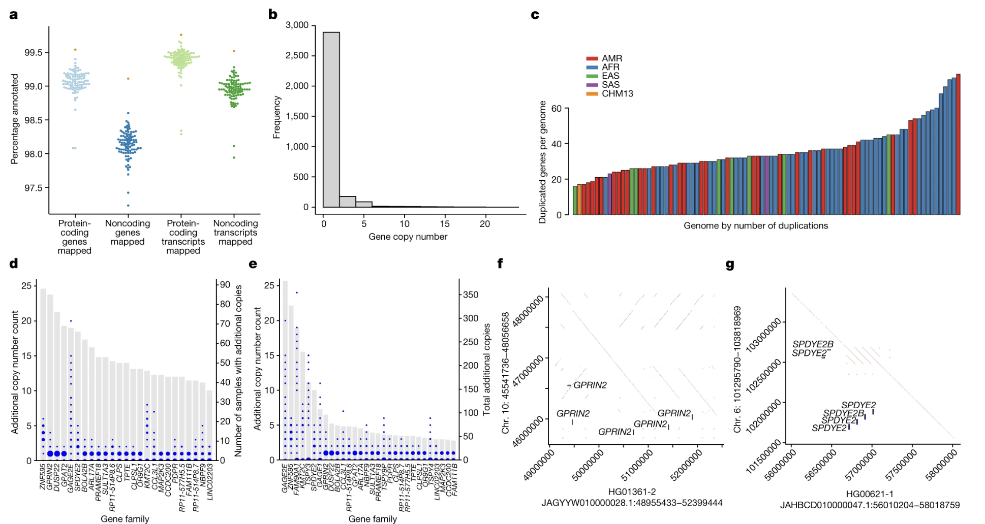 Liao 2023 Figure 2 panels b and c, gene copy number variation by population