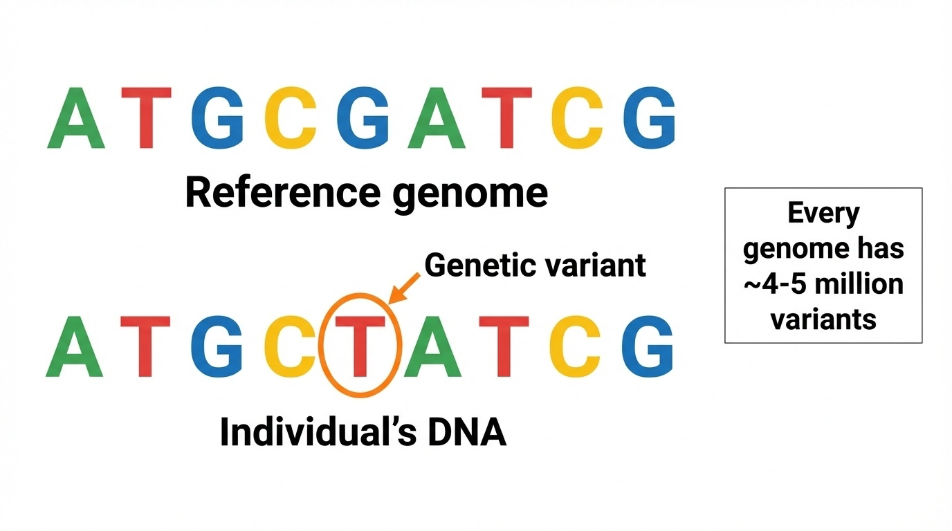Reference genome compared to individual genome with a single G to T change